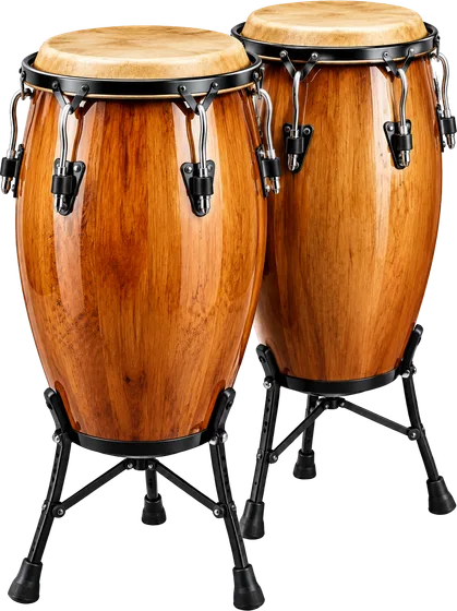 Congas