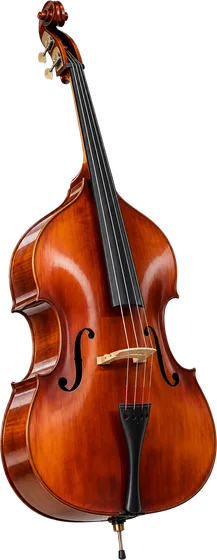 Double bass