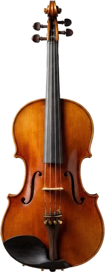 Viola